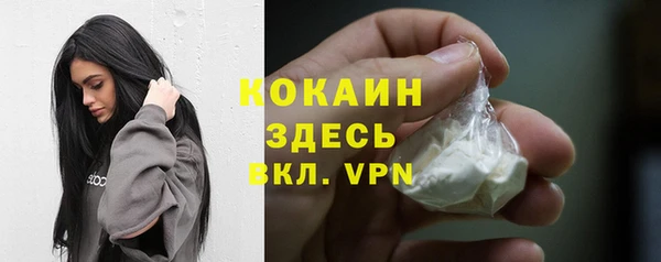 не бодяженный Алексин