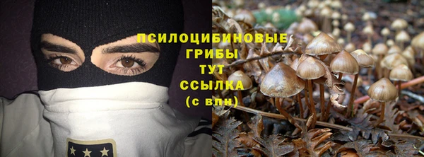 не бодяженный Алексин