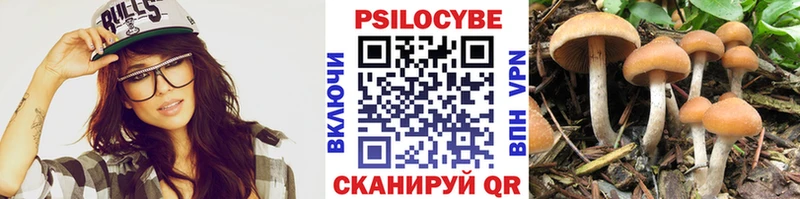 Псилоцибиновые грибы мицелий  blacksprut ССЫЛКА  Евпатория 